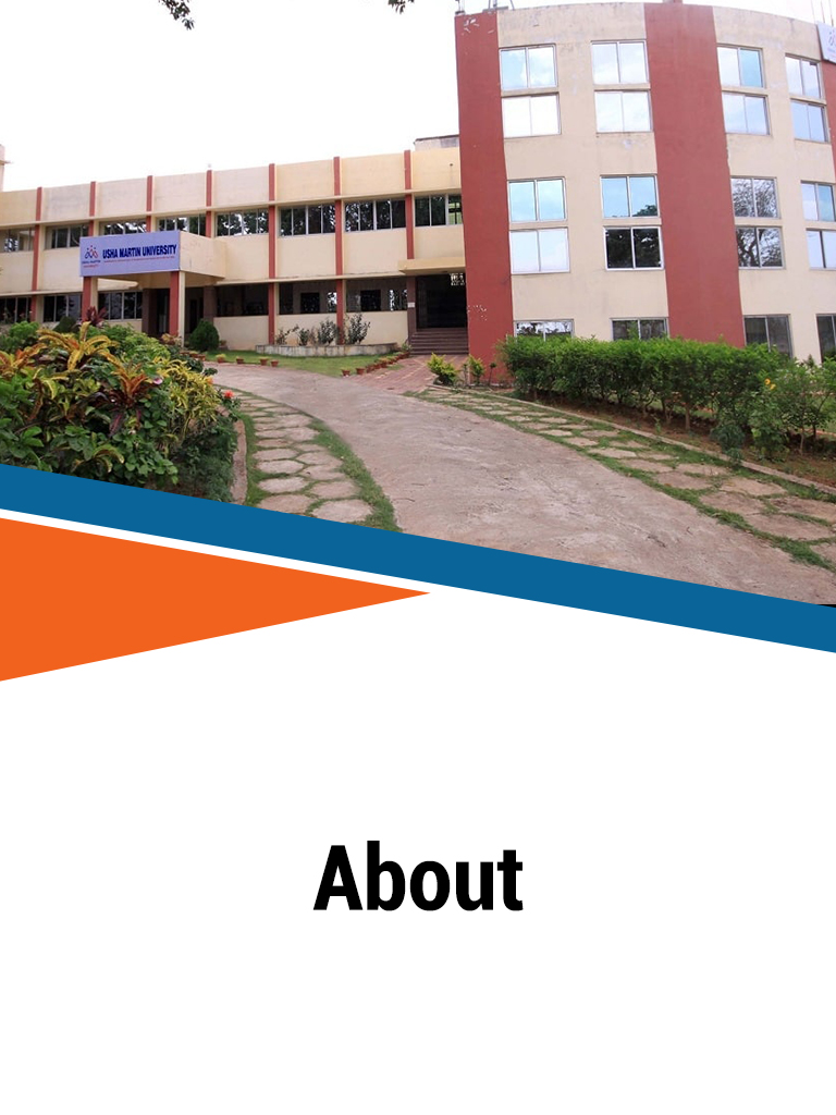 About Usha Martin about-usha-martin