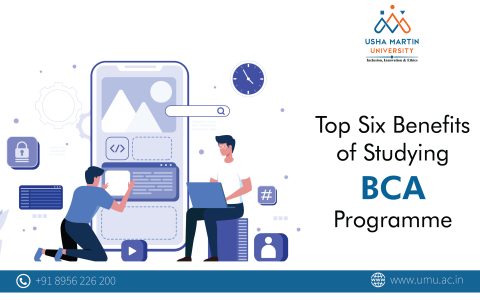 Top Six Benefits of Studying BCA Programme