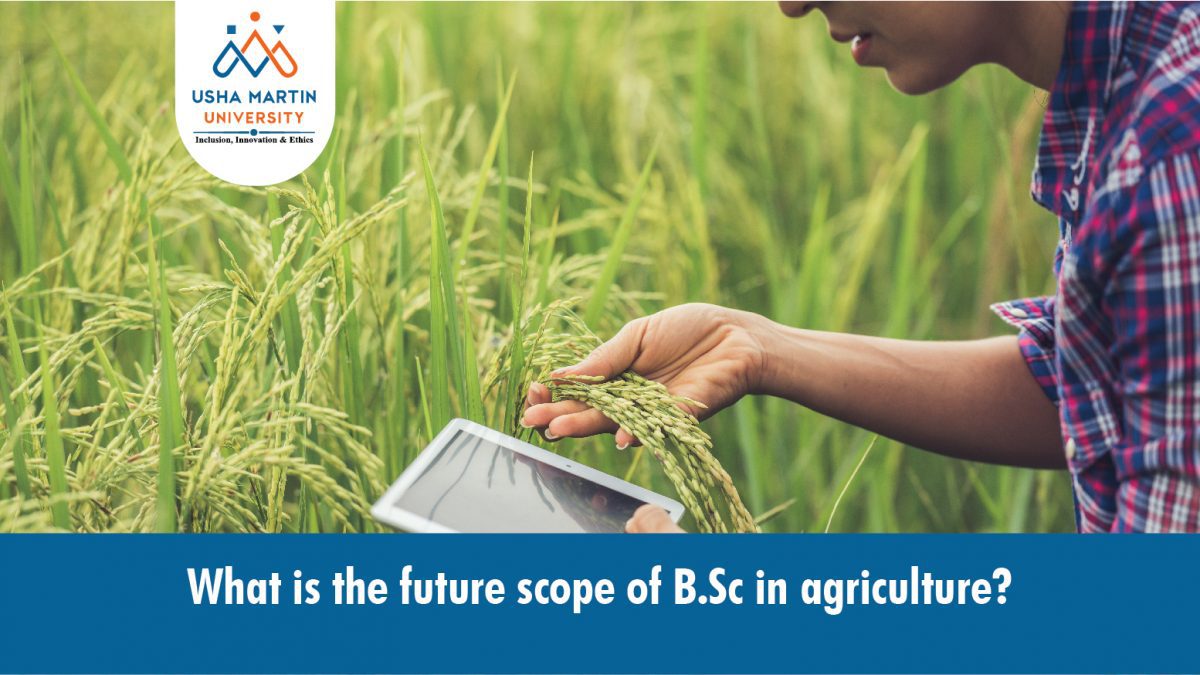 What is the Future Scope of B. Sc in Agriculture