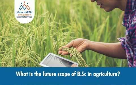 What is the Future Scope of B. Sc in Agriculture