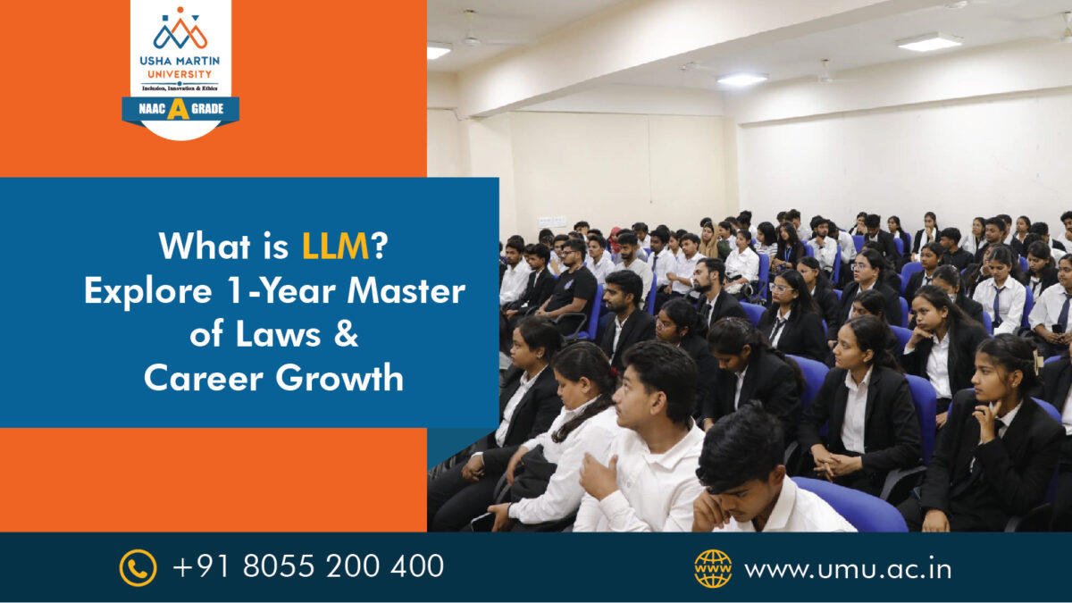 llm programs