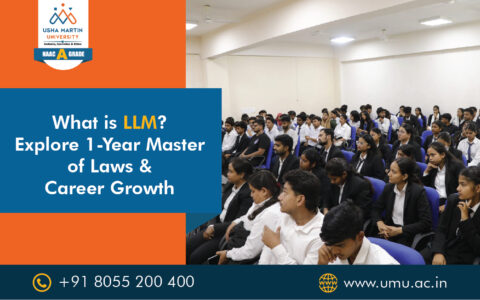 llm programs