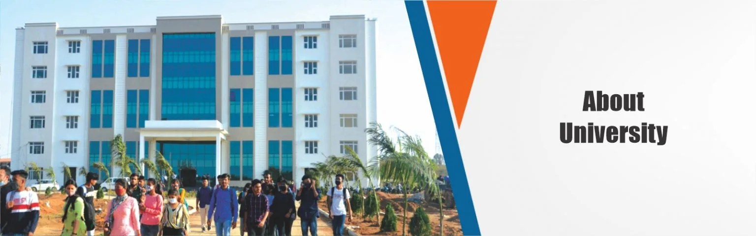 about-university