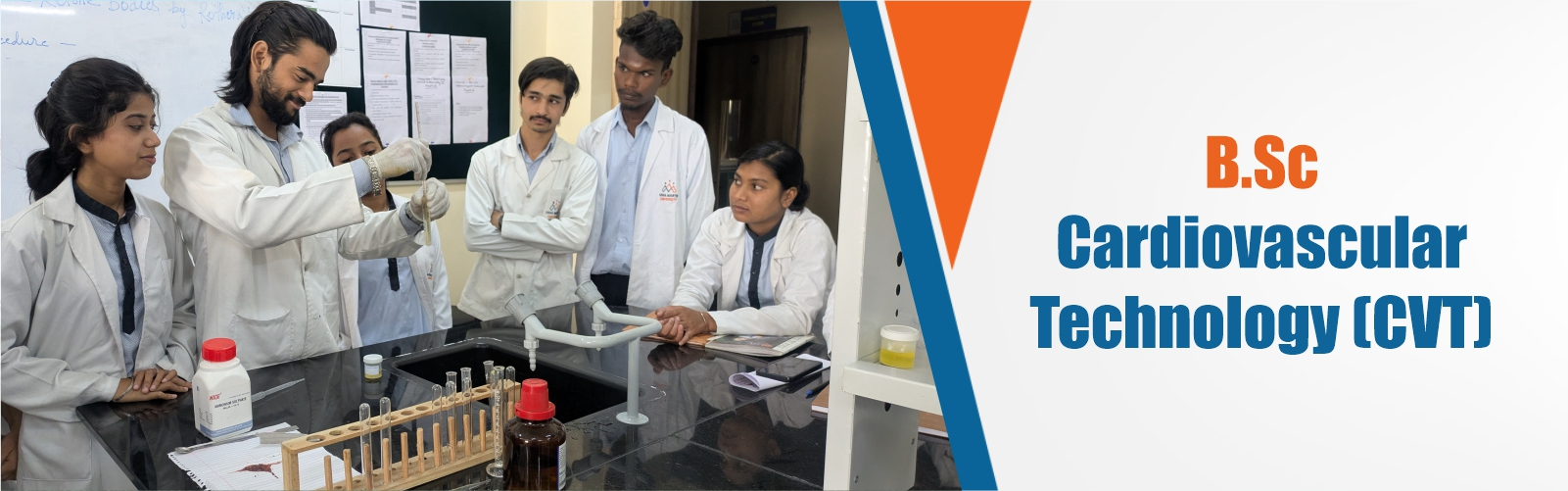 bsc cardiovascular technology